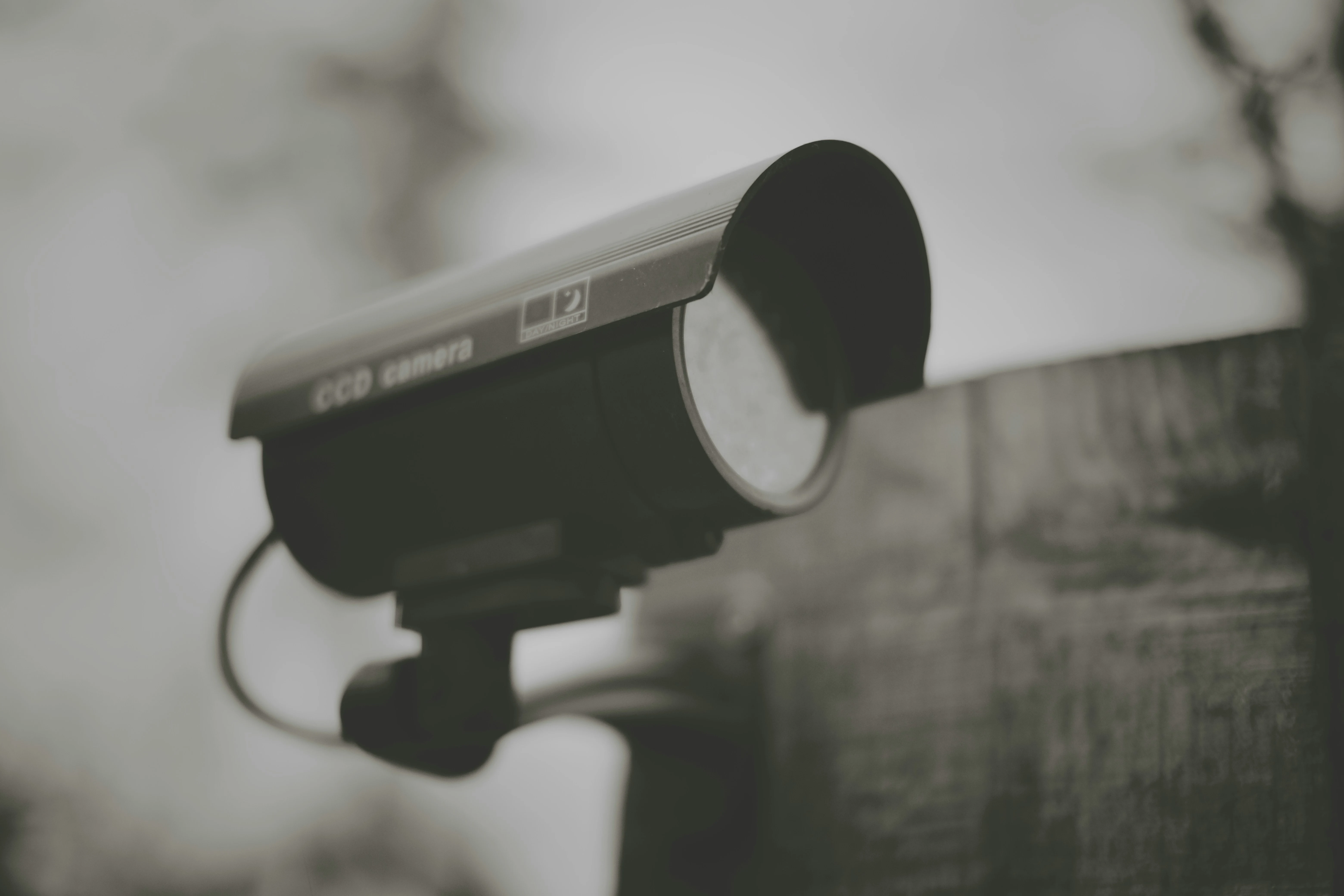 Banner 2